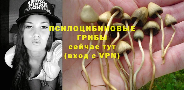 трава Белокуриха