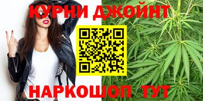 прущие грибы Гай