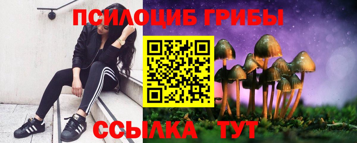 Псилоцибиновые грибы GOLDEN TEACHER Еманжелинск